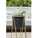 thumbnail image 3 of Gala Dorado Con Maceta Negra M, 3 of 3
