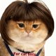 thumbnail image 1 of Disfraz para Gato Lamiaraga Peluca Mini Bob para Gatito, 1 of 5