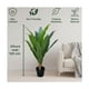 thumbnail image 4 of Planta Artificial Dracaena Hojas Largas 120 cm, 4 of 9