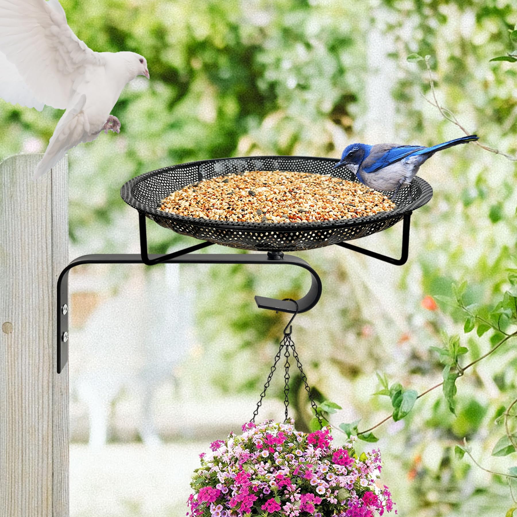 Alimentador de pájaros CQAIRIOU con bandeja de acero inoxidable de 30 cm
