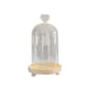 thumbnail image 3 of Campana De Cristal Cúpula Flores Eternas Cúpulas De Cristal Vitrina Cúpula Transparente Cloche Corazón, 3 of 5