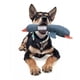 thumbnail image 3 of Peluche Para Mascotas, Perro, Gato Con Sonido 24cm Por 19cm Color Azul, 3 of 3