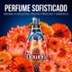 thumbnail image 3 of Suavizante Concentrado Líquido Sofisticado Floral Botella, 3 of 5