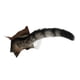 thumbnail image 2 of Pegatinas De Gato Decorativas Realistas DIY Para Muebles Baño Guardería, 2 of 3