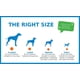 thumbnail image 5 of Juguete para perros Chuckit Air Fetch Ball XL para perros de más de 45 kg, 5 of 7