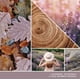 thumbnail image 3 of Vela aromática, 3 of 3
