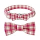thumbnail image 1 of Collar para perro con lazo - Collar para perro con lazo ajustable, elegante, tamaño pequeño, mediano o grande, 1 of 5