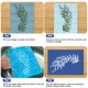 thumbnail image 5 of Kit de papel Cyanotype Paper HFATMOS Sun Print A5, 14,8 x 21 cm, 30 unidades, 5 of 7