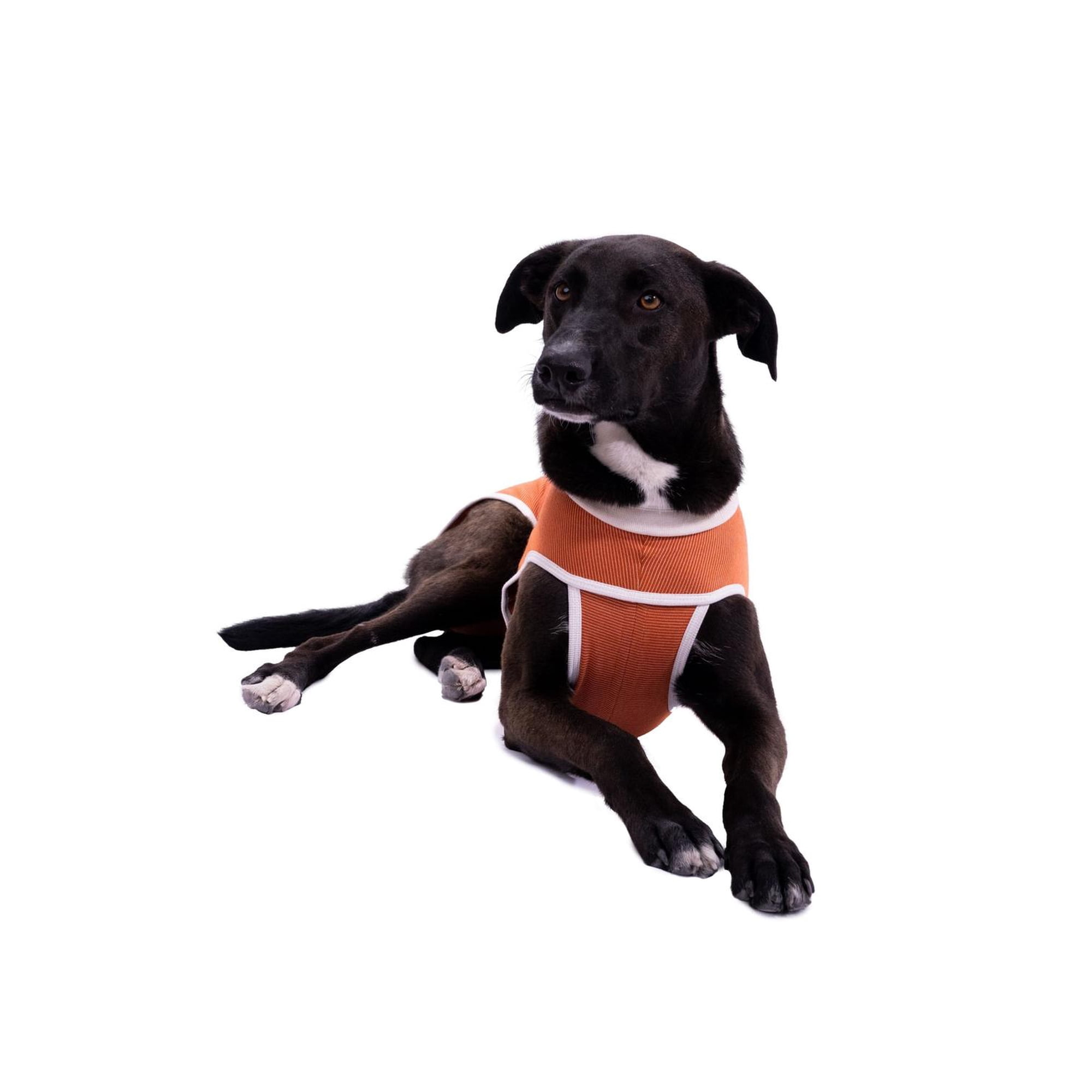 BODY COBRE KIMBA TRADICIONAL TALLA 7 (13 A 17 KG) naranja