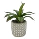 thumbnail image 3 of Planta agave artificial, 3 of 4