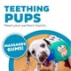 thumbnail image 3 of Juguete para masticar Outward Hound Petstages Cutie Chewies Hedgehog Dog, 3 of 7