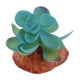 thumbnail image 1 of Acuario Pecera Adornos Plantas Suculentas Reptil Escondite Decoración D, 1 of 5