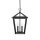 thumbnail image 2 of Lámpara Colgante Exterior ELEGANT Frankford 30 cm en Negro, 2 of 8
