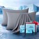 thumbnail image 1 of Juego de 2 Fundas de Almohada Rifens Home Cooling Queen Gris Claro, 1 of 7