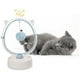 thumbnail image 4 of Juguete Interactivo Cinetica Automatica Para Gatos Mascotas, 4 of 5
