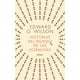 thumbnail image 1 of Libro Historias Del Mundo De Las Hormigas, 1 of 2