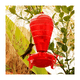 thumbnail image 2 of Bebedero Para Colibrí 1L Rojo Pica Flor Colibríes, 2 of 2