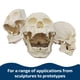 thumbnail image 4 of Resina de fundición Smooth-On Smooth-Cast 300, color blanco brillante, 3,78 litros, 4 of 6