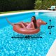 thumbnail image 3 of Tubo inflable para fiestas de perros GoFloats Wiener para adultos/niños, 3 of 6