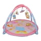 thumbnail image 2 of Gimnasio Funplay Rosado, 2 of 7