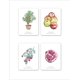 thumbnail image 2 of Una planta, un fruto. Juego de Memoria, 2 of 7