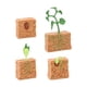thumbnail image 5 of Ciclo De Vida De La Planta Verde Cultivada Montessori Para Niños Y Niñas En Edad Preescolar, 5 of 5