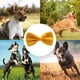 thumbnail image 5 of Pajarita formal para perros Amajiji® para perros medianos y grandes, 5 of 5