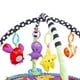 thumbnail image 3 of Gimnasio Corral Pelotas Zoo Green, 3 of 3