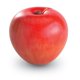 thumbnail image 4 of Recursos de aprendizaje sobre fracciones magnéticas de manzana con guía de actividades, 4 of 8