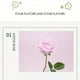 thumbnail image 3 of Solid Balm For Women, Lasting And Refreshing Floral Fruity Notes, Portable Antiperspirant Solid Perfume For Students, 3 of 5