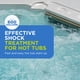 thumbnail image 4 of Hot Tub Start-Up Chlorine Shock FROG Jump Start, 1 paquete, 4 of 7