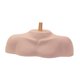 thumbnail image 5 of Cabeza De Maniquí Con Soporte Para Hombros, Modelo De Estilismo, Cosmetología, Cabeza De Maniquí Con Varilla Ranurada, 5 of 5