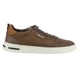 thumbnail image 1 of Zapatilla Ferracini Hombre 1827 N Chocolate Casual, 1 of 6
