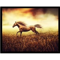 Genérico - Cuadro Decorativo Figura Caballo Corsel Medidas 30X40 Cm