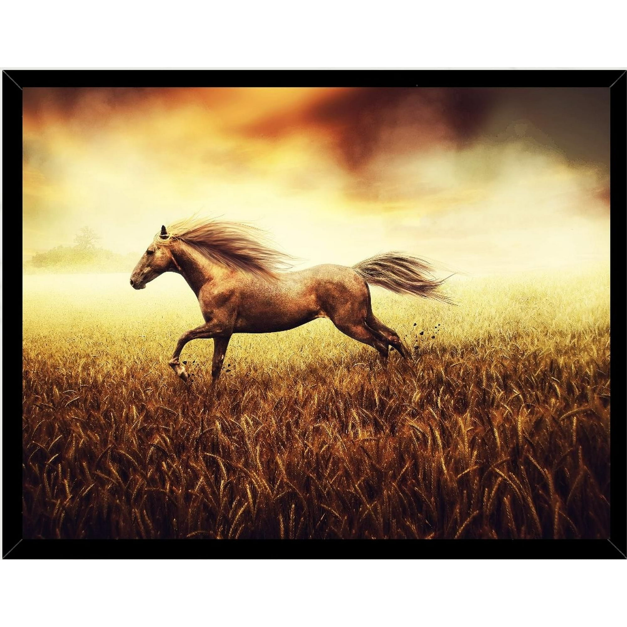 Genérico - Cuadro Decorativo Figura Caballo Corsel Medidas 30x40 Cm