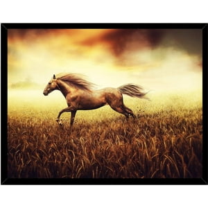 Genérico - Cuadro Decorativo Figura Caballo Corsel Medidas 30X40 Cm