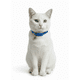 thumbnail image 3 of Collar Para Gato Gatita Anti Ahorque Con Diseño Huellitas, 3 of 3