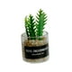 thumbnail image 1 of Mini Juguetes Para Casa De Mu?ecas Modelo De Paisaje Estático Modelado Mini Plantas Artificiales Estilo F, 1 of 5