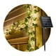 thumbnail image 3 of Cortina Hoja Solar 5 Metros Luces Led Guirnalda Navidad Boda, 3 of 3