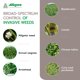 thumbnail image 3 of Herbicida ALLIGARE Imox Imazamox 946 ml (1 cuarto), 3 of 6