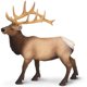thumbnail image 1 of Estatuine Safari Ltd. Elk Bull, modelo de plástico de 4,75 cm, más de 3 años, 1 of 7
