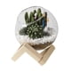 thumbnail image 4 of Maceta De Cristal Con Adornos Florales, Maceta Creativa Para Jardín Al Aire Libre, Hotel, 10cm, 4 of 5