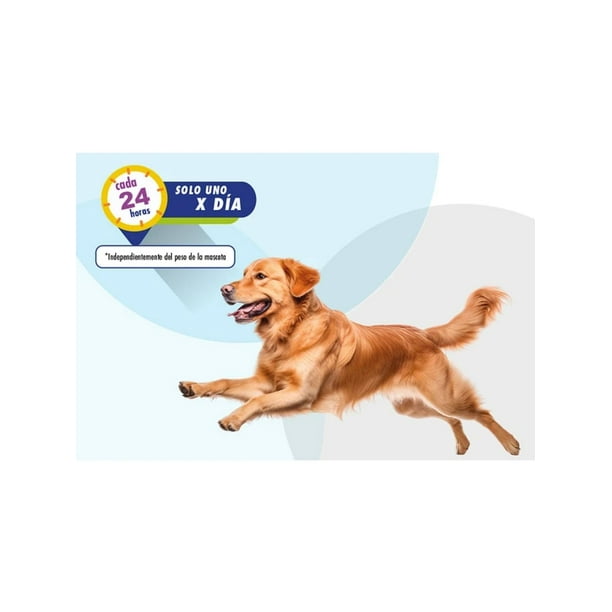 Flexadin Advanced 60 Unidades Suplemento Articular | Lider