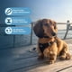 thumbnail image 2 of Arnés Best Pet Supplies Voyager Step-in Air Black S, 2 of 8