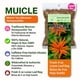 thumbnail image 5 of Té Herbal Muicle B-Experts 113g Hierba Mexicana, 5 of 9