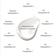 thumbnail image 4 of Crema Hidratante Facial THE LOMB 50 ml Anti‑Envejecimiento y Brillo, 4 of 8