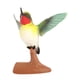 thumbnail image 1 of Hummingbird Modelo Figura Escultura De Animales Para Aulas Favores De Fiesta De Recompensa 3241, 1 of 5