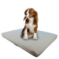 Petwoow - Cama Para Mascota Perros Y Gatos Maite 80X67X10 Cm M