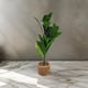 thumbnail image 3 of Planta Artificial Macetero De Cemento Naranjo Hojas Verdes blanco, 3 of 7