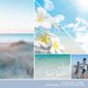 thumbnail image 3 of Recambio Scent Plug Yankee Candle Ocean Air (paquete de 6), 3 of 8